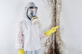 Best Airborne Mold Testing  in South Chicago Heights, IL